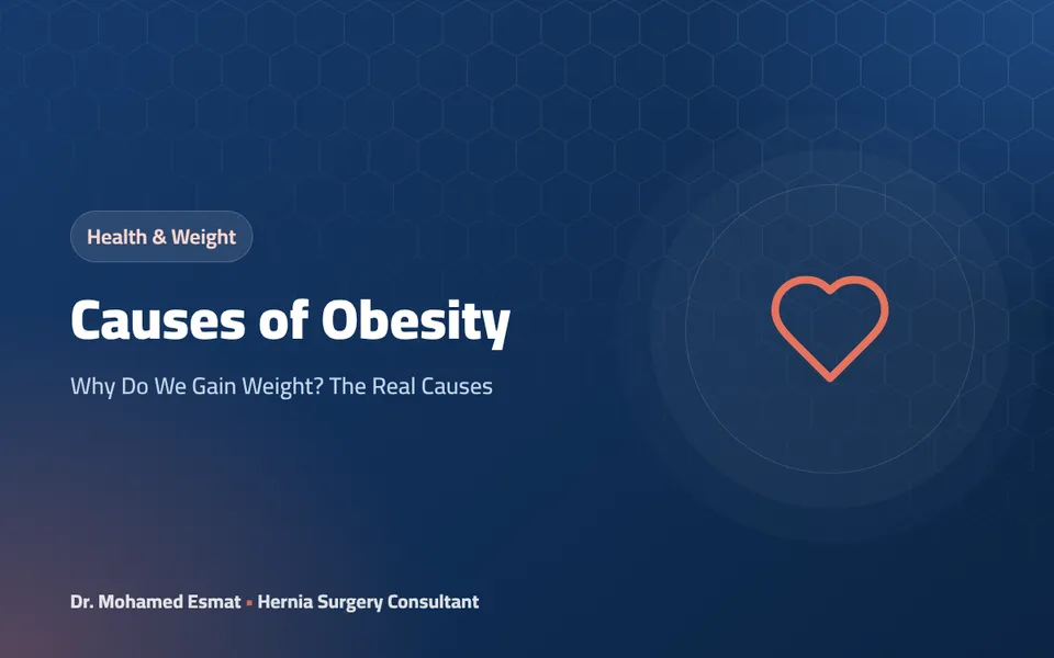 Causes of Obesity: Why Do We Gain Weight? The Real Causes